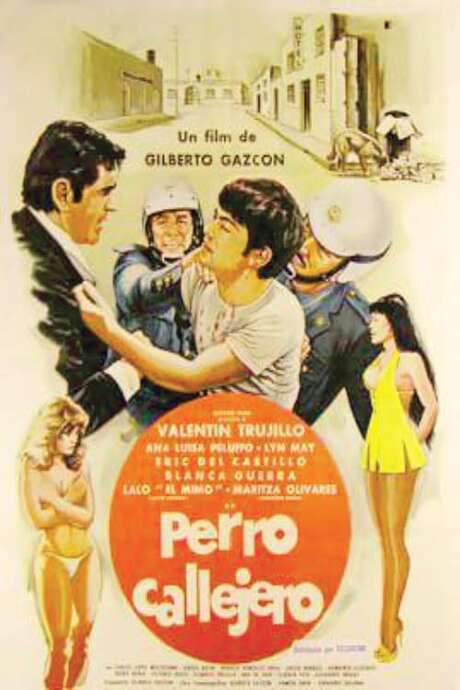 Perro callejero (1980) movie poster