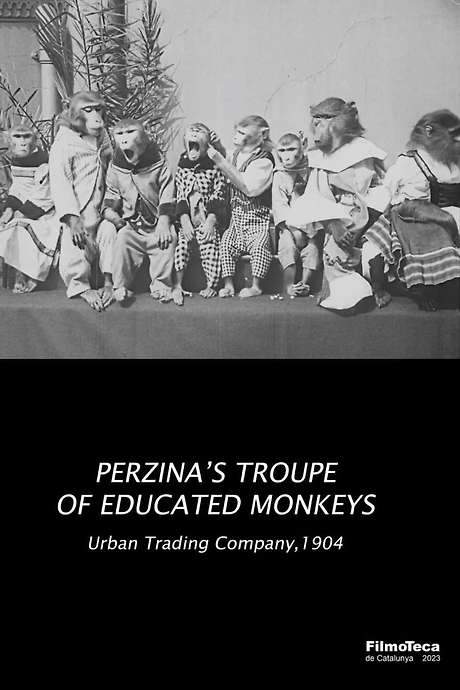 Perzina’s Troupe of Educated Monkeys (1904) movie poster