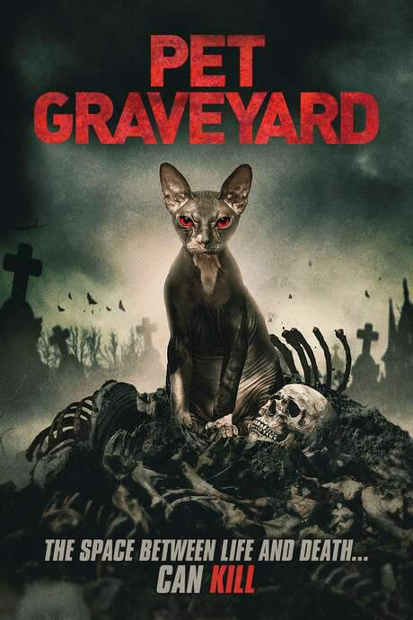 Pet Graveyard (2019) movie poster