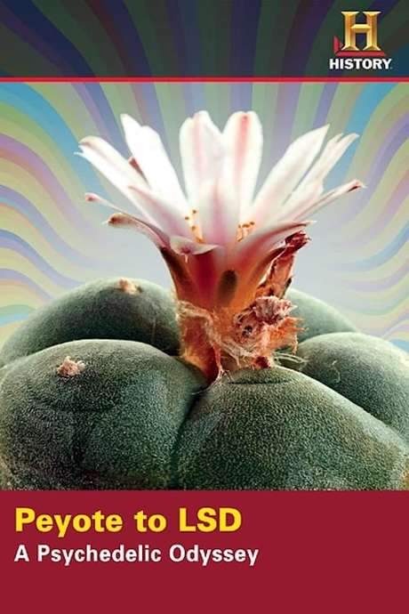 Peyote to LSD: A Psychedelic Odyssey (2008) movie poster