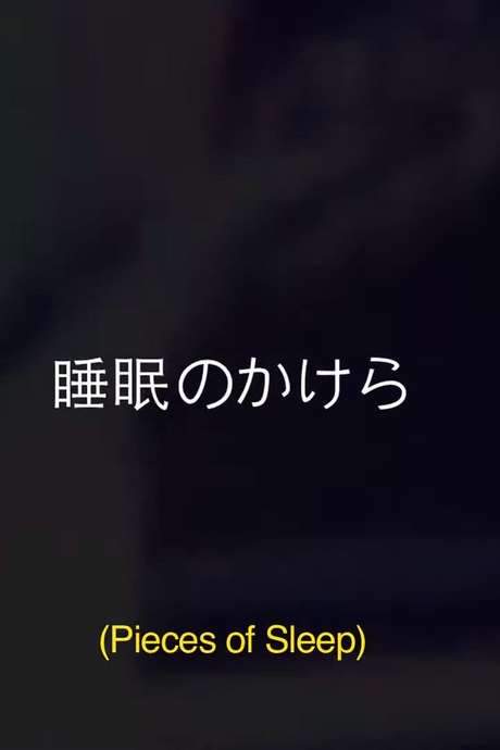 Pieces Of Sleep: The 1993 Japan Tour Re-Imagined (2020) movie poster