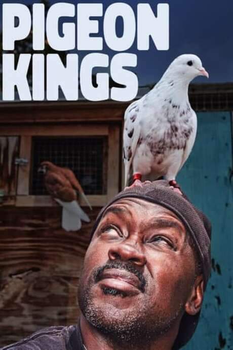 Pigeon Kings (2019) movie poster