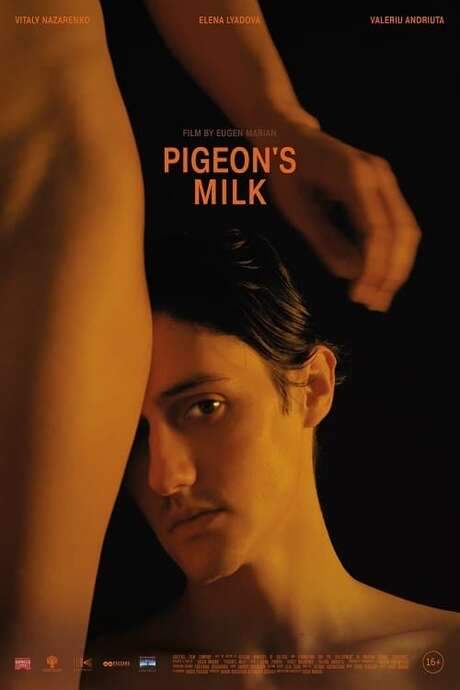 Pigeon’s Milk (2021) movie poster