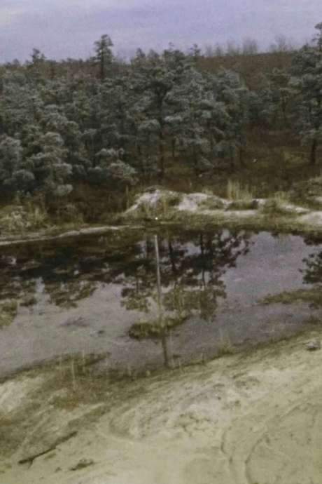 Pine Barrens (1975) movie poster