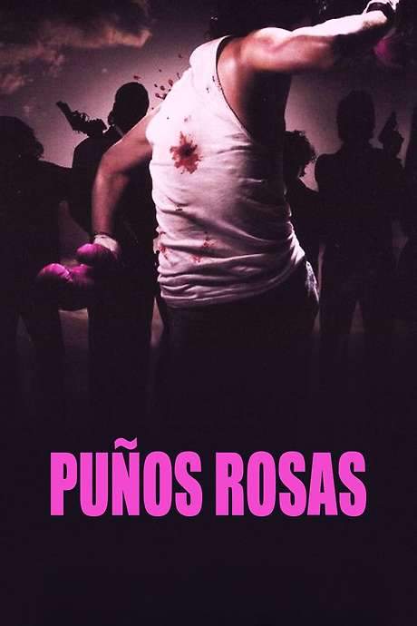 Pink Punch (2004) movie poster