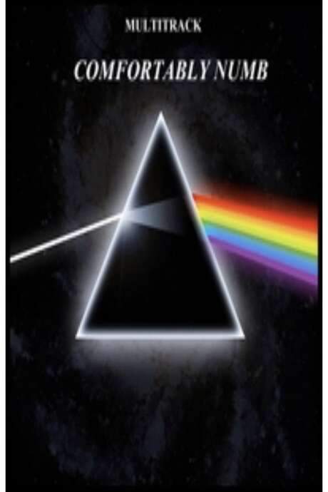 Pink Floyd - Comfortably Numb (2005) movie poster