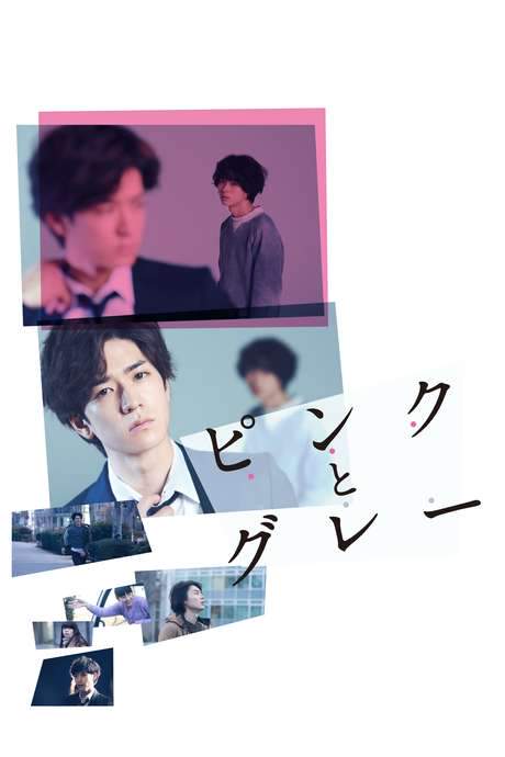 Pink and Gray (2015) movie poster
