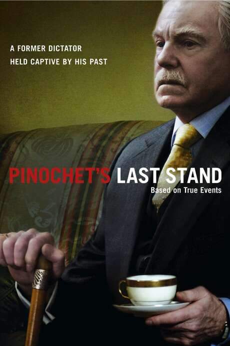 Pinochet in Suburbia (2006) movie poster