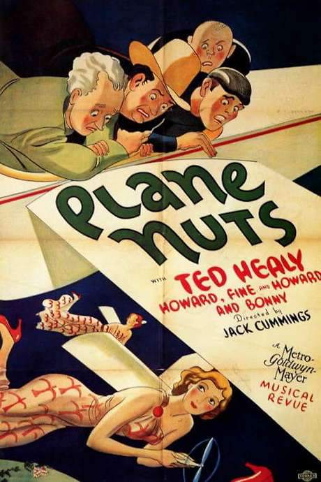 Plane Nuts (1933) movie poster