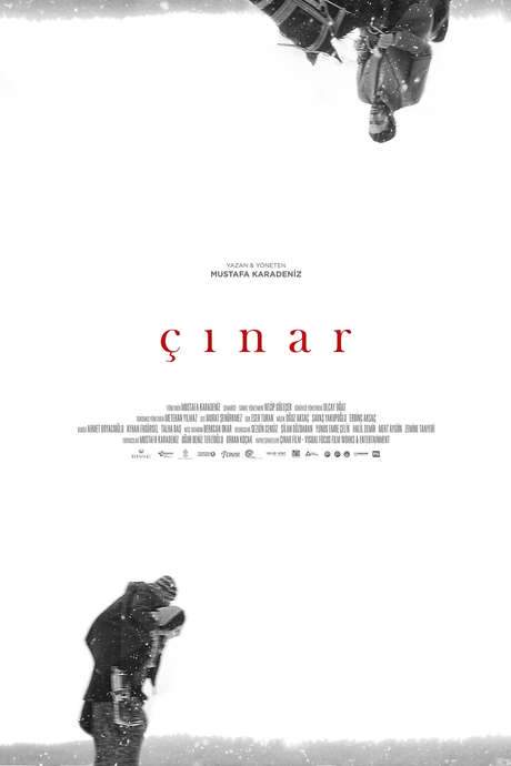 Plane Tree (2018) movie poster