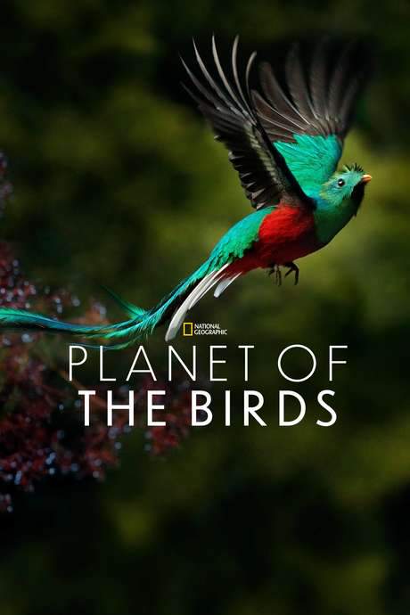 Planet of the Birds (2018) movie poster