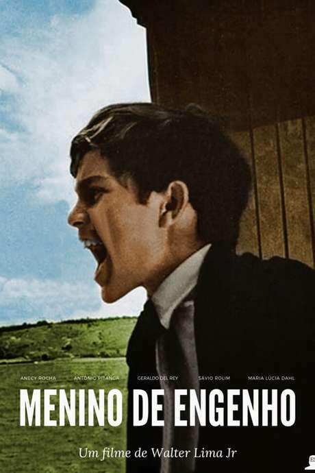 Plantation Boy (1966) movie poster