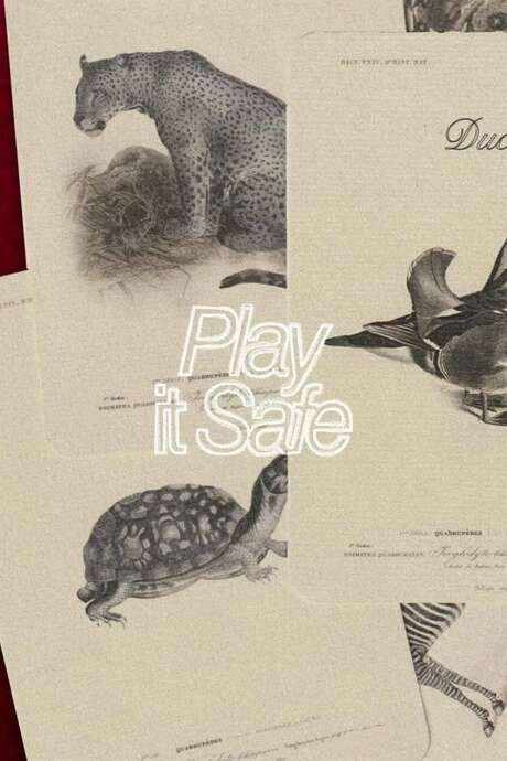 Play It Safe (2021) movie poster