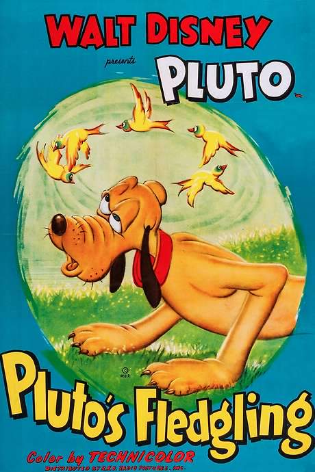 Pluto’s Fledgling (1948) movie poster