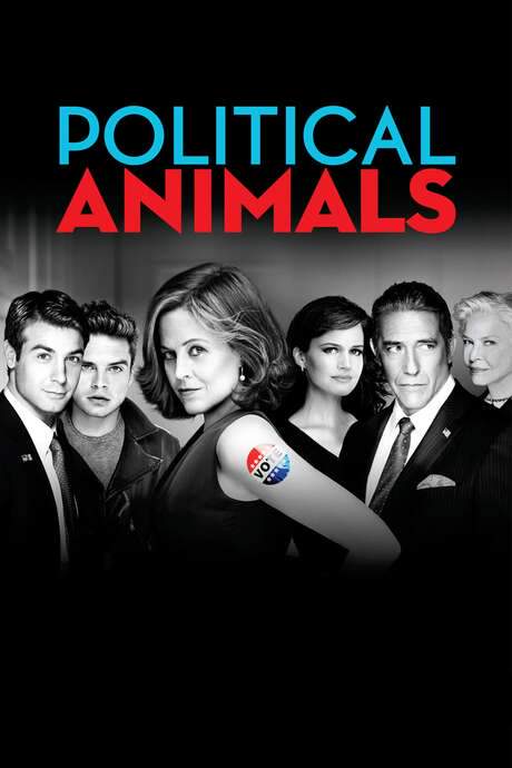Political Animals (2012) movie poster