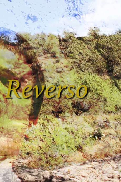 Pollice Verso Reverso (2017) movie poster