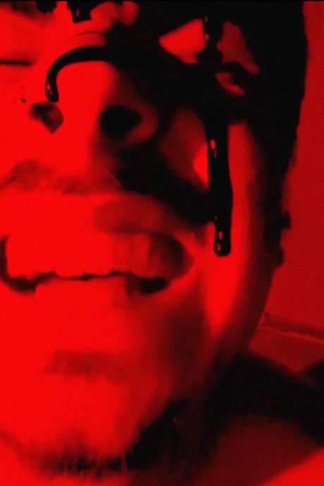 Portrait of a Chimera (2020) movie poster