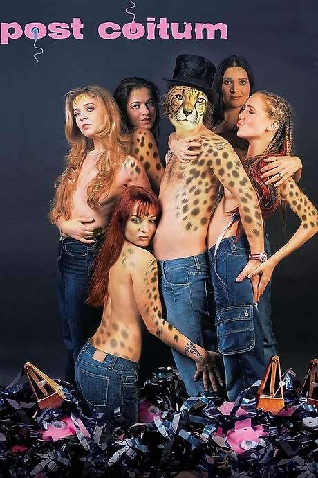 Post Coitum (2004) movie poster