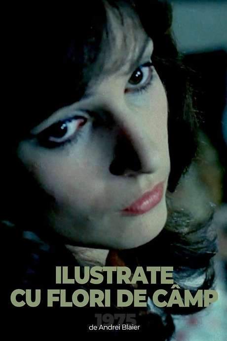 Postcards with Wildflowers (1975) movie poster