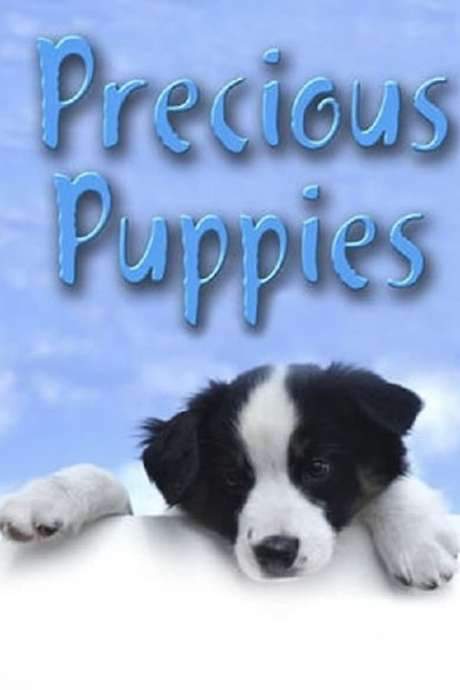Precious Puppies (2003) movie poster