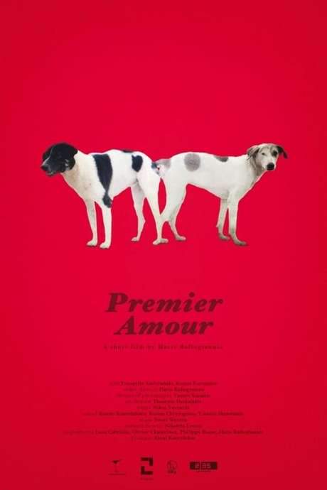 Premier Amour (2020) movie poster