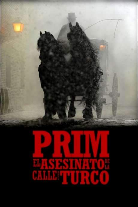 Prim: el asesinato de la calle del Turco (2014) movie poster
