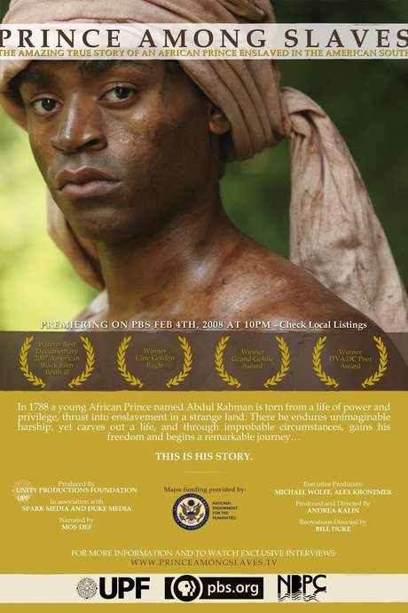 Prince Among Slaves (2007) movie poster