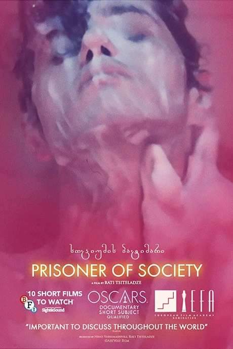 Prisoner of Society (2018) movie poster