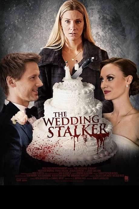 Psycho Wedding Crasher (2017) movie poster