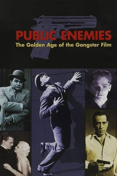 Public Enemies: The Golden Age of the Gangster Film (2008) movie poster