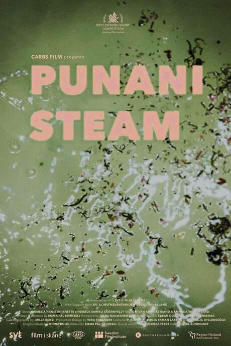 Punani Steam (2021) movie poster