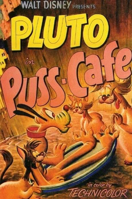 Puss Cafe (1950) movie poster