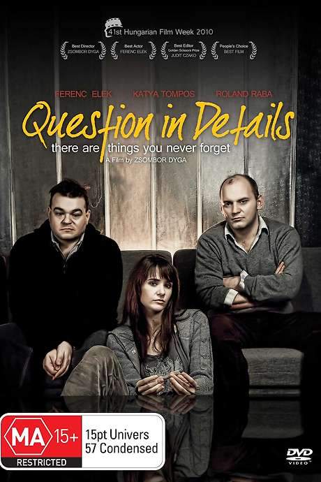 Question in Details (2010) movie poster