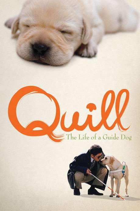 Quill: The Life of a Guide Dog (2004) movie poster
