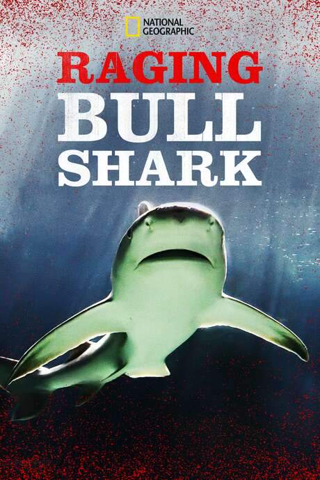 Raging Bull Shark (2020) movie poster