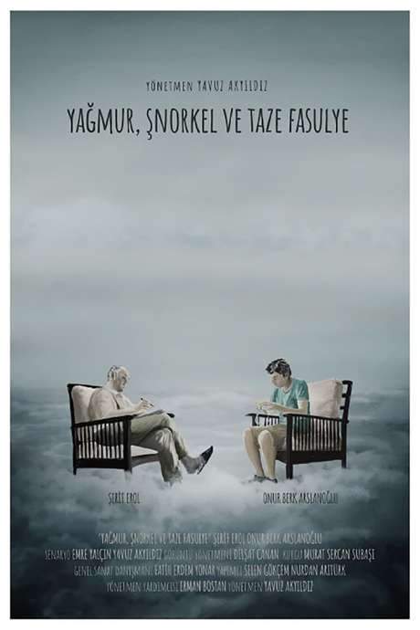 Rain, Snorkel & Green Beans (2020) movie poster