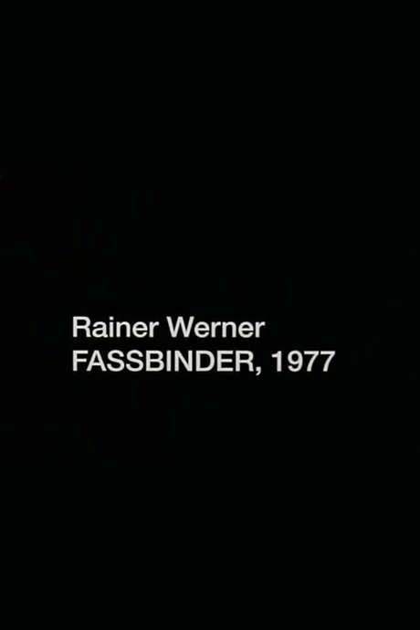Rainer Werner Fassbinder, 1977 (2005) movie poster