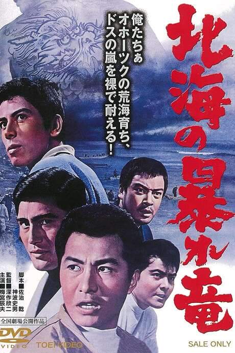 Rampaging Dragon of the North (1966) movie poster
