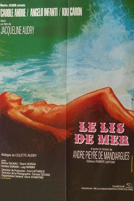 Raped On The Beach (1971) movie poster