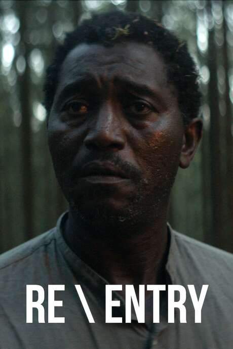 Re \ Entry (2019) movie poster