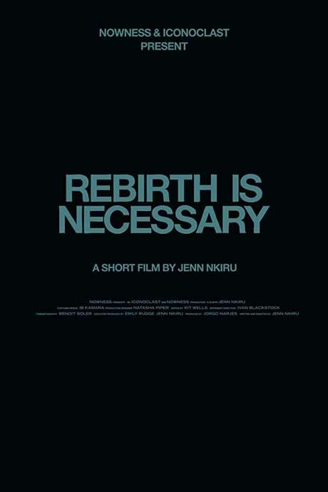 Rebirth Is Necessary (2017) movie poster