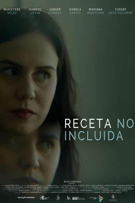 Receta no incluída (2022) movie poster