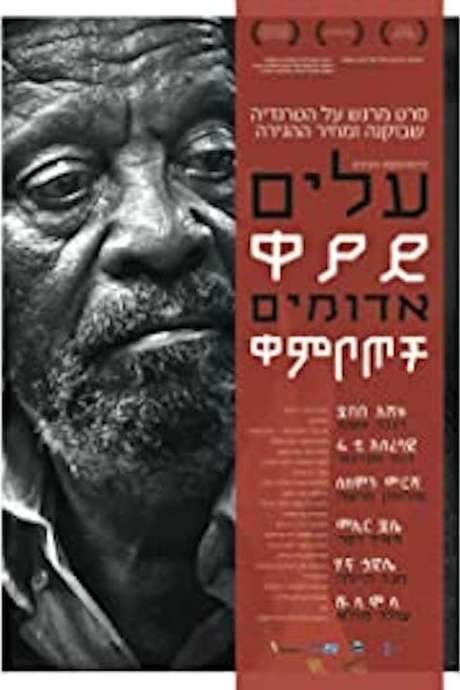 Red Leaves (2014) movie poster