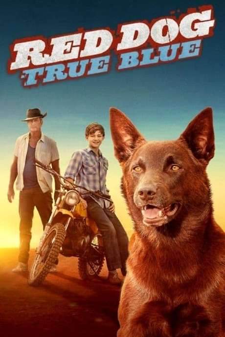 Red Dog: True Blue (2016) movie poster