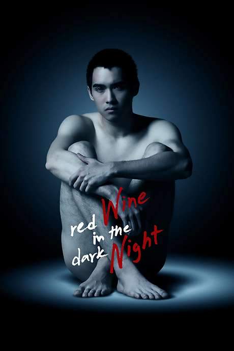 Red Wine in the Dark Night (2015) movie poster