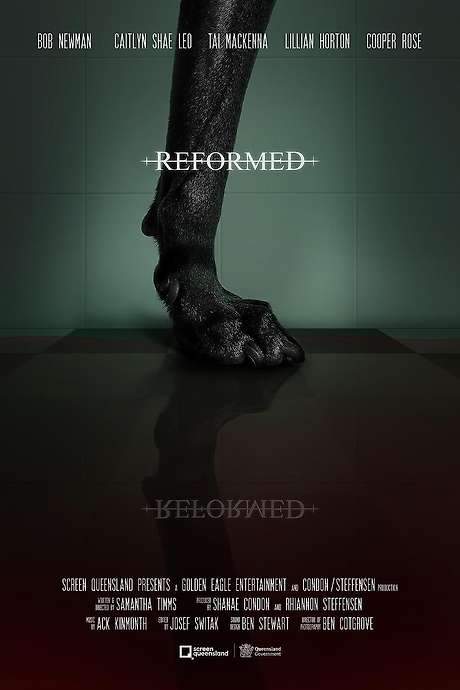 After his release from prison, John, a former criminal seeking redemption, finds himself unexpectedly stranded and must navigate public transportation to reach a halfway house. His return to society immediately confronts him with familiar temptations, testing his commitment to a righteous path. As he struggles to maintain his newfound faith, John begins to question whether it will be enough to keep his inner demons at bay and secure his freedom.