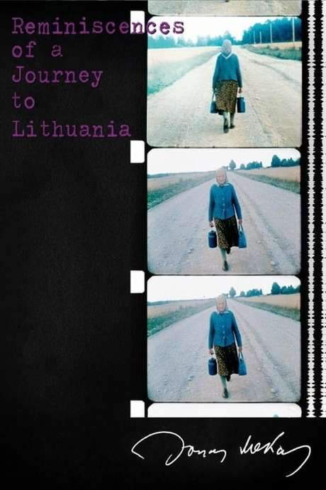 Reminiscences of a Journey to Lithuania (1972) movie poster
