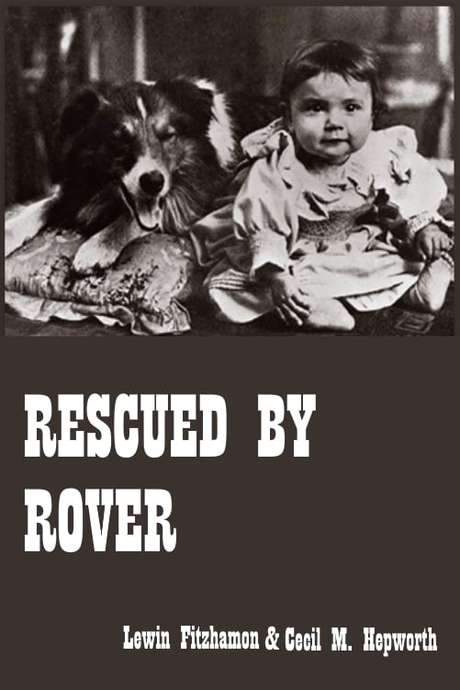 Rescued by Rover (1905) movie poster