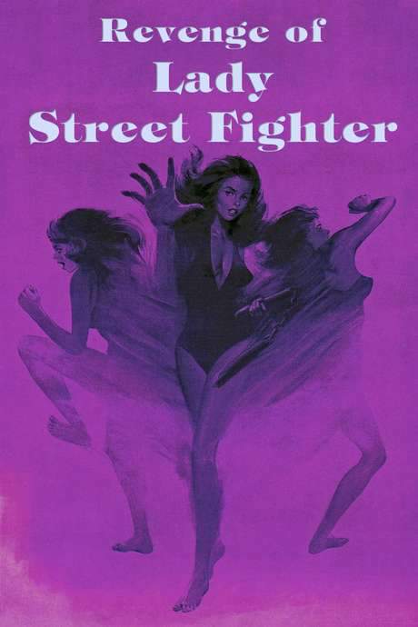 Revenge of Lady Street Fighter (1990) movie poster
