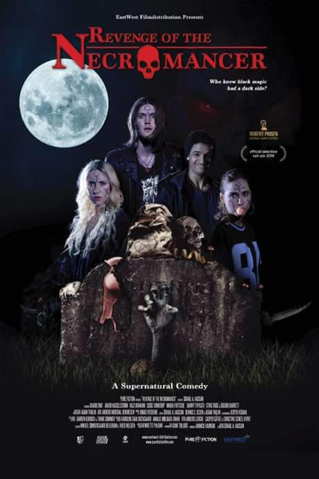 Revenge of the Necromancer (2018) movie poster
